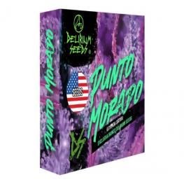 Auto Punto Morado (x12)